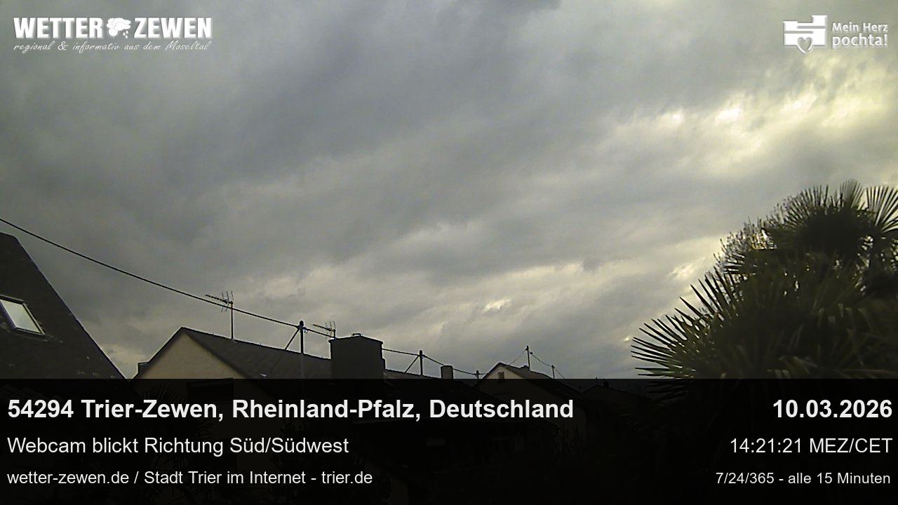 Bild