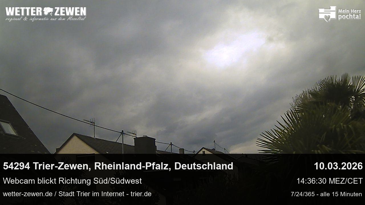 Bild