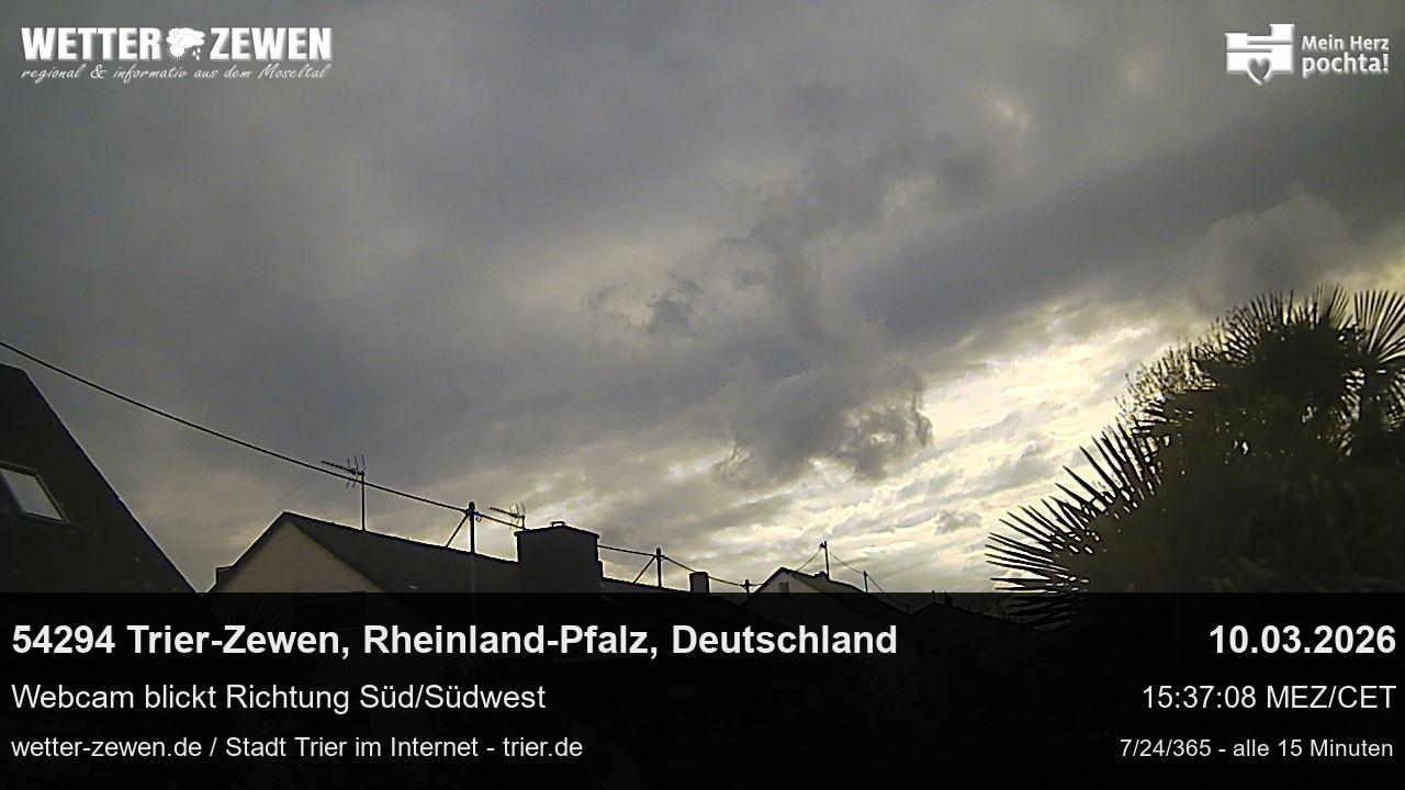 Bild