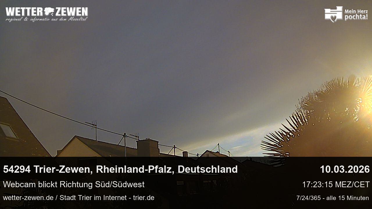 Bild