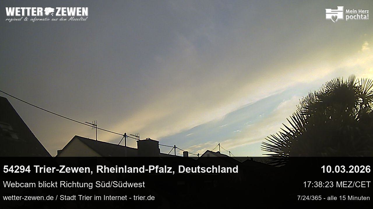 Bild