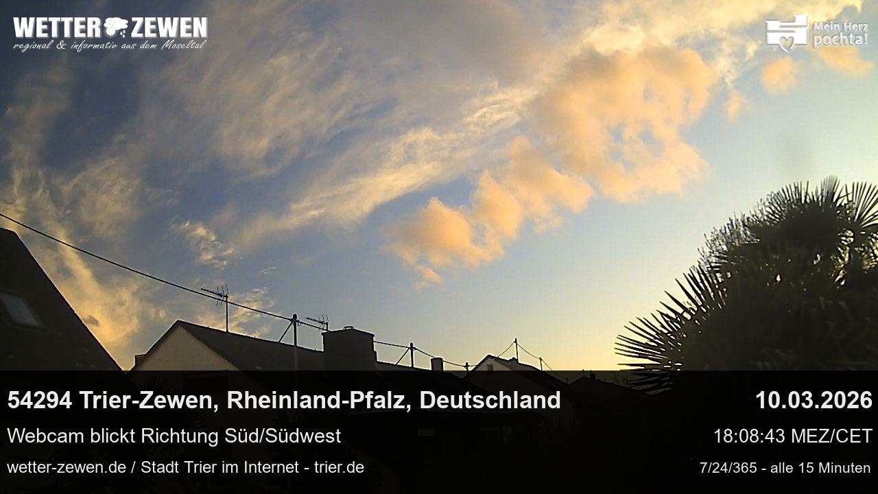 Bild