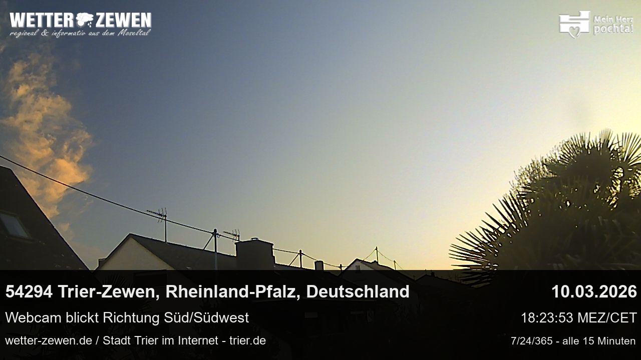 Bild