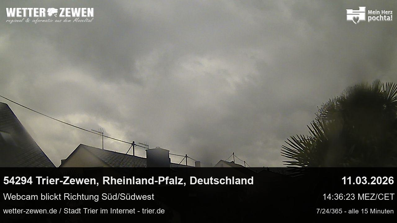 Bild
