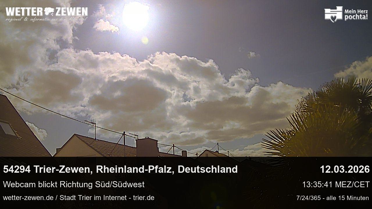 Bild