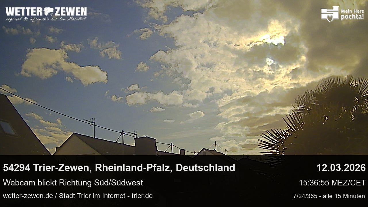 Bild