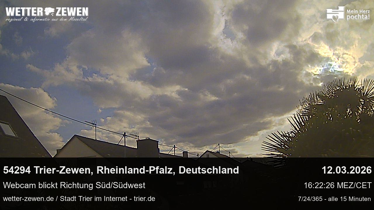 Bild