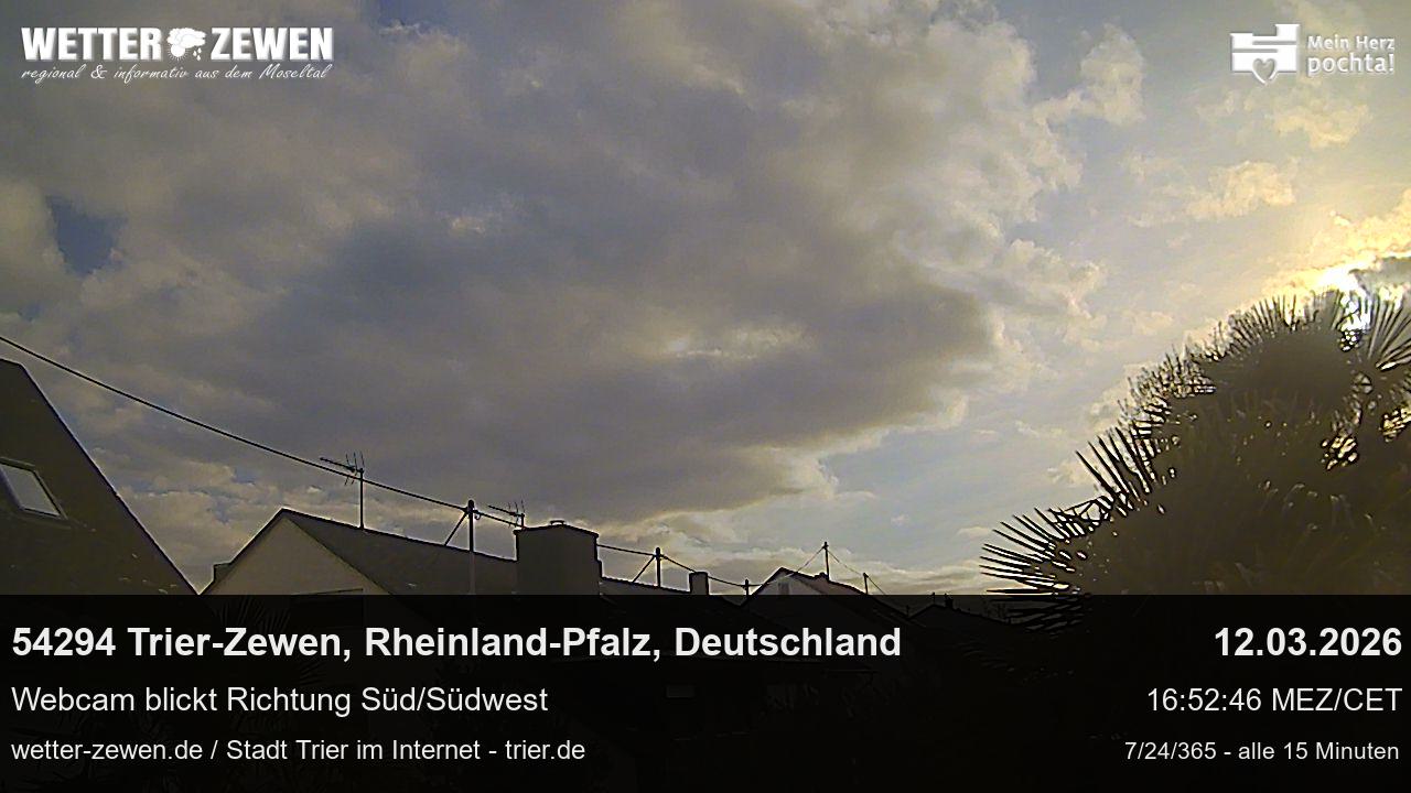 Bild