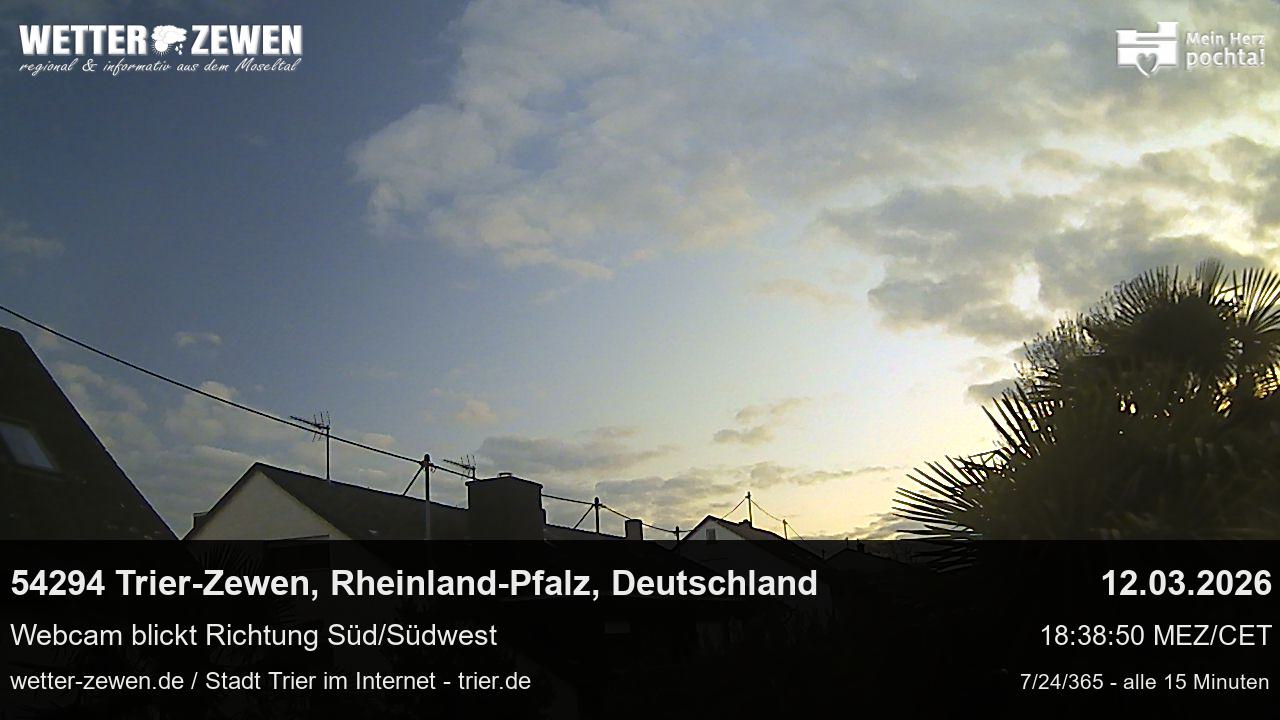 Bild