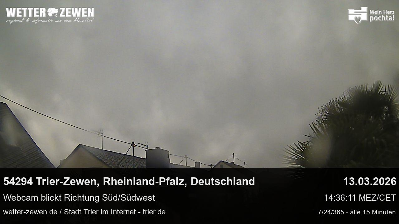 Bild