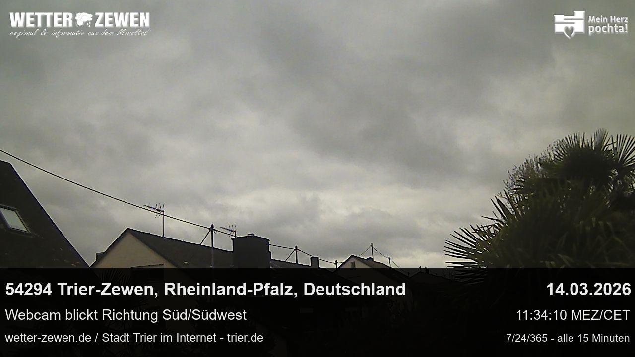 Bild