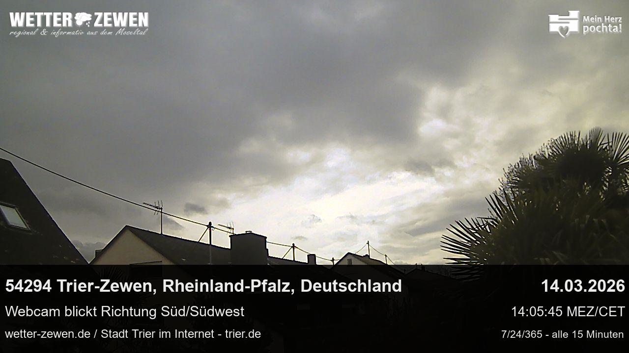 Bild