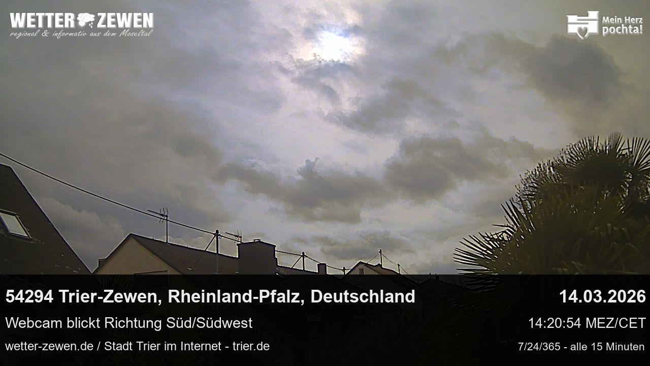 Bild