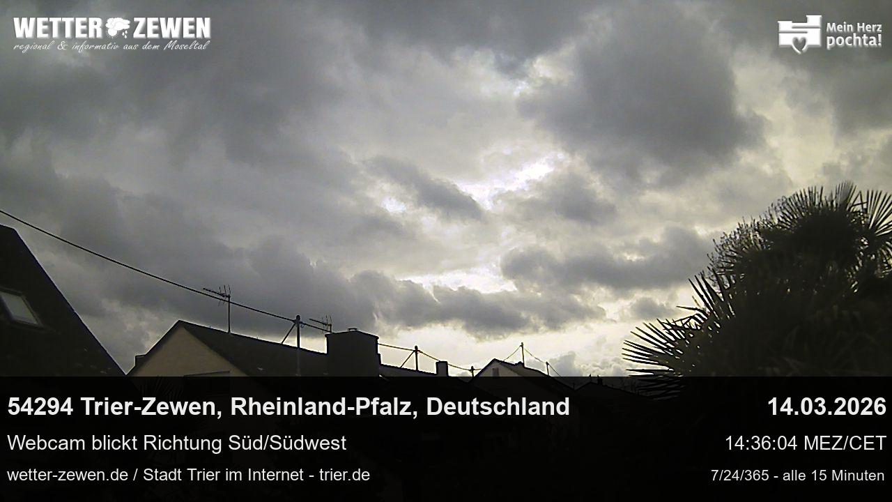Bild