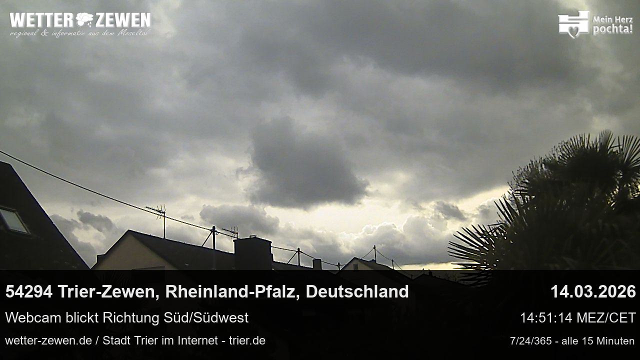 Bild