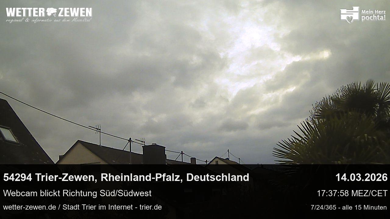 Bild