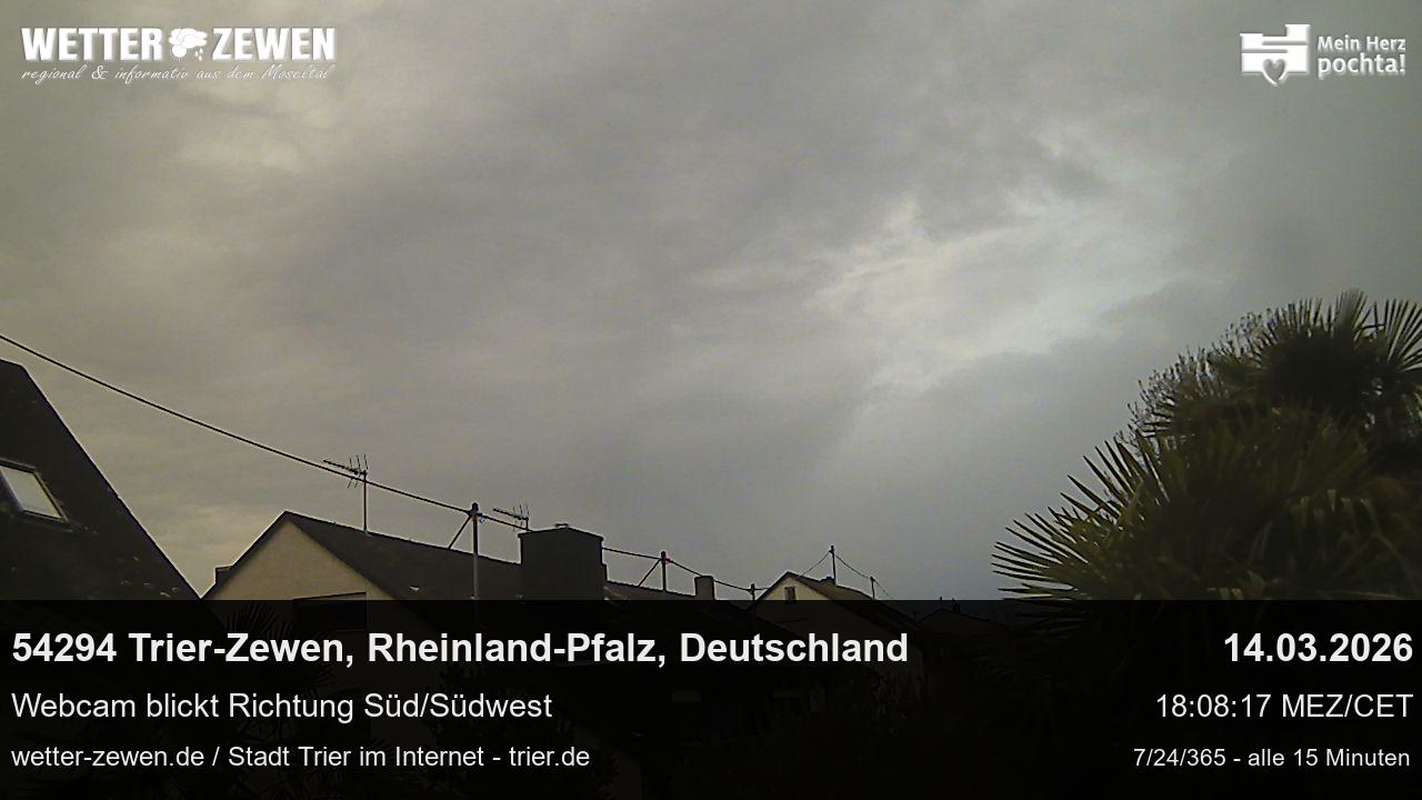 Bild