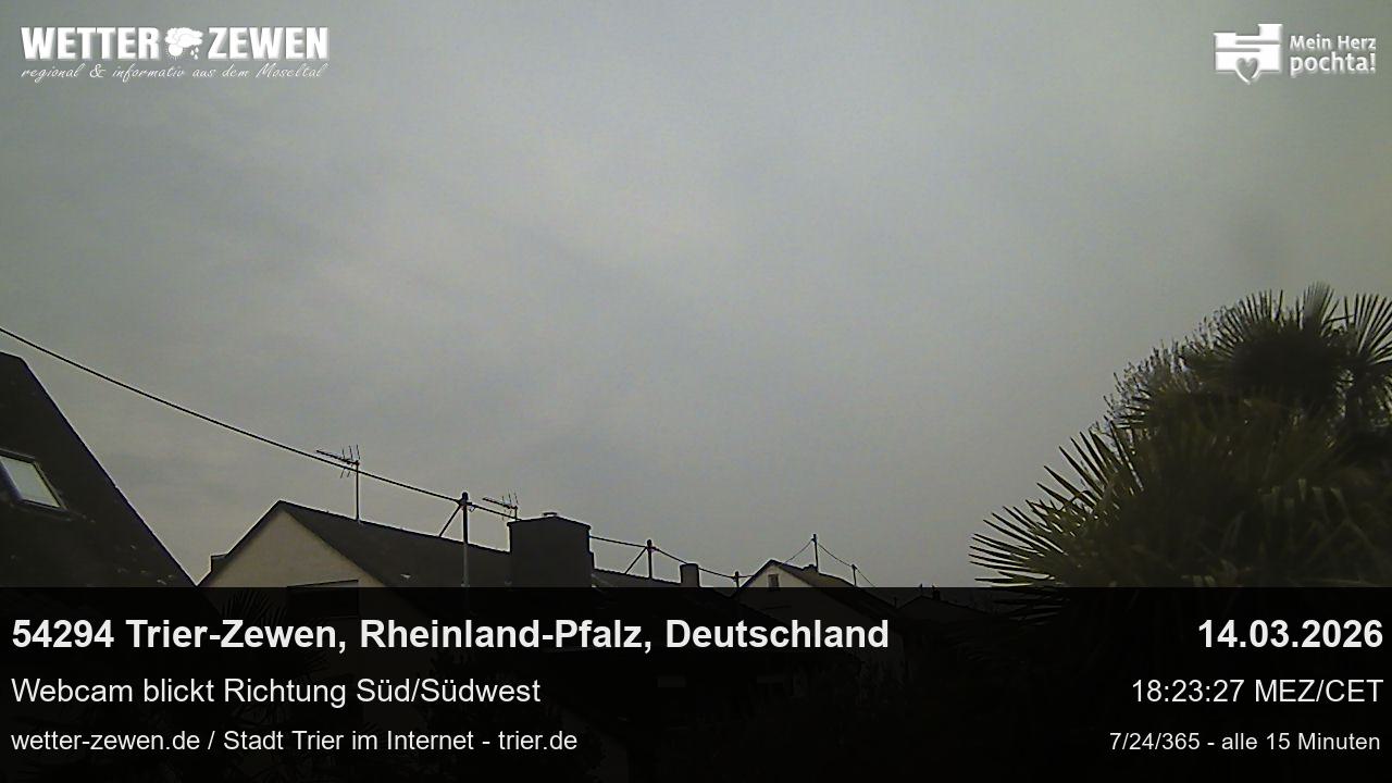 Bild