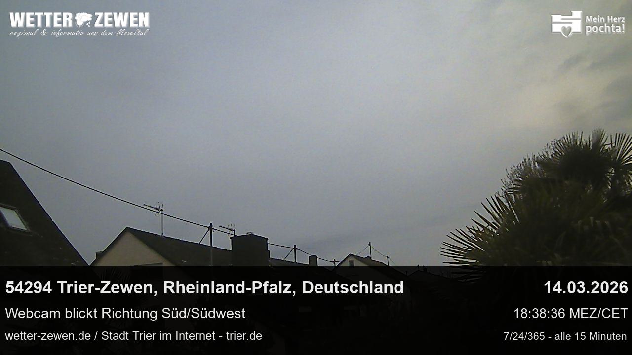 Bild