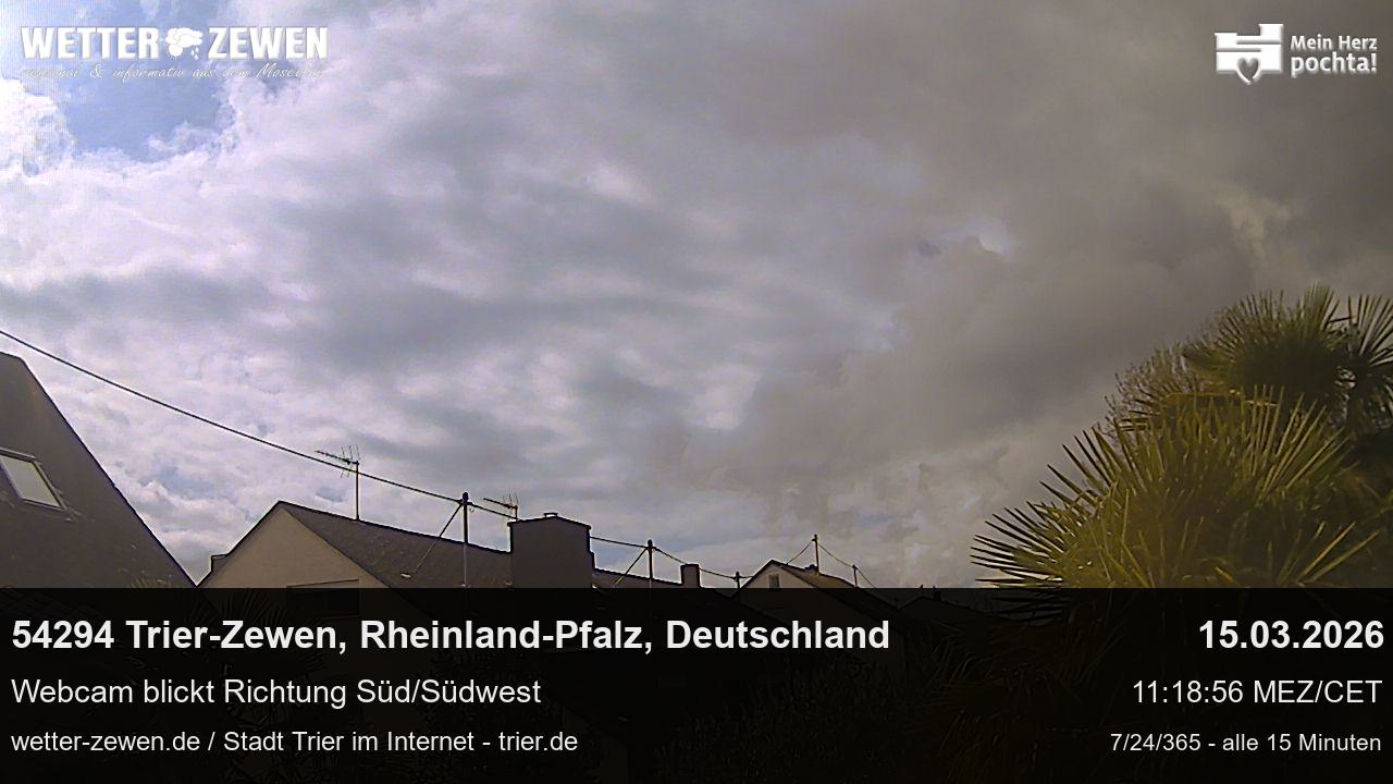 Bild