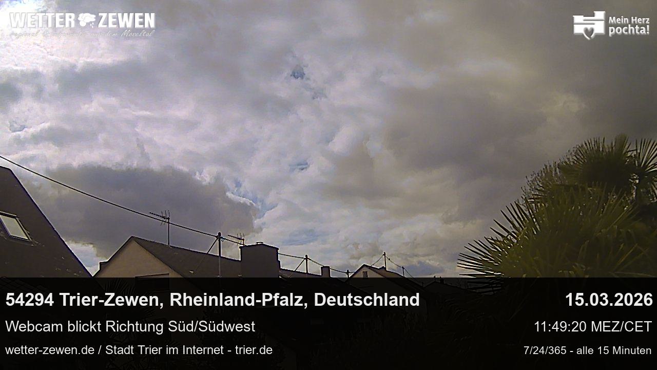 Bild