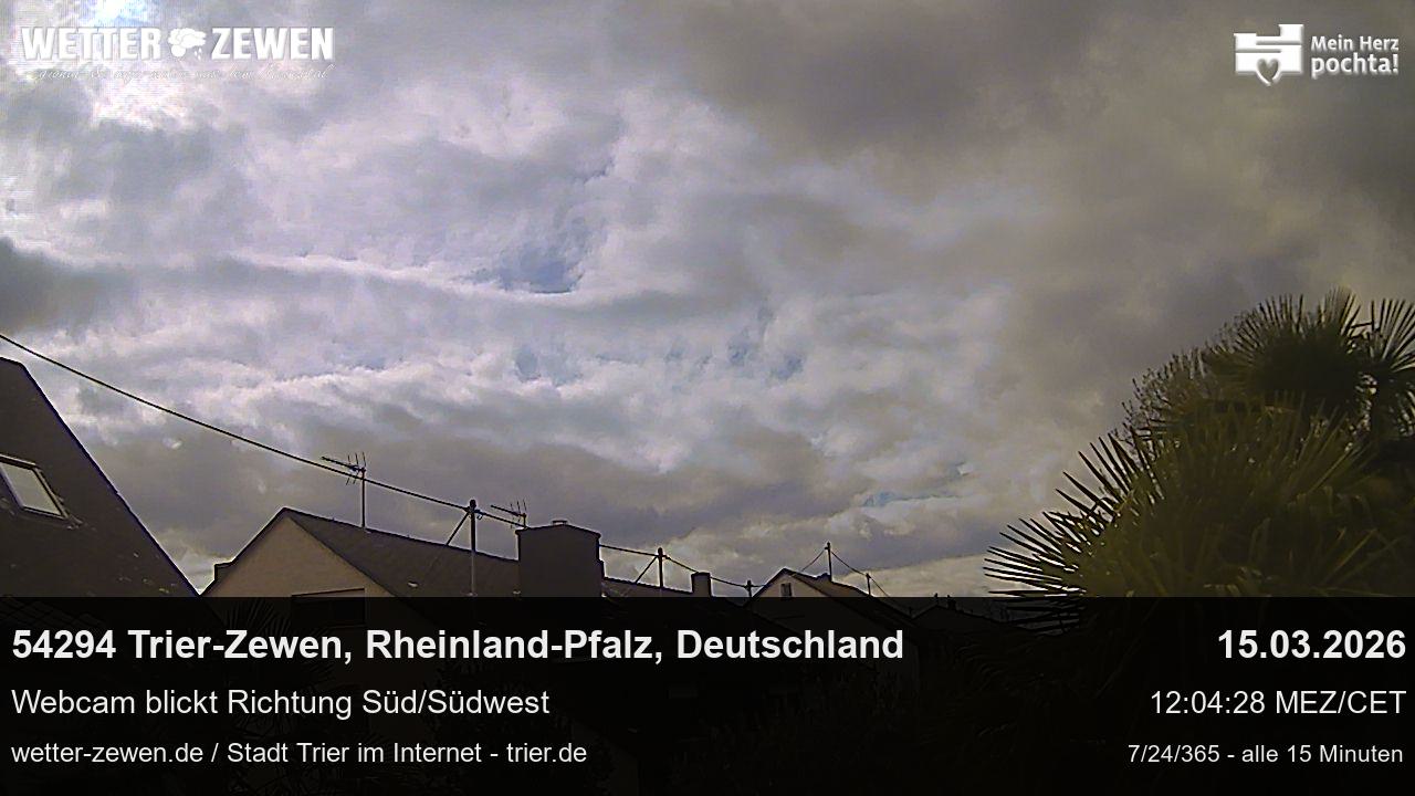 Bild
