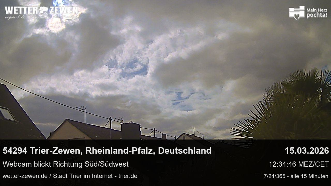 Bild