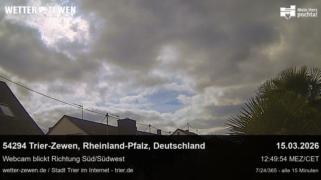Bild