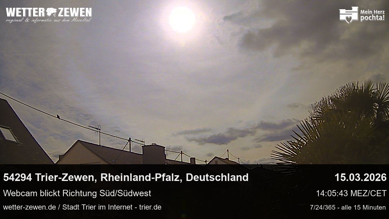 Bild