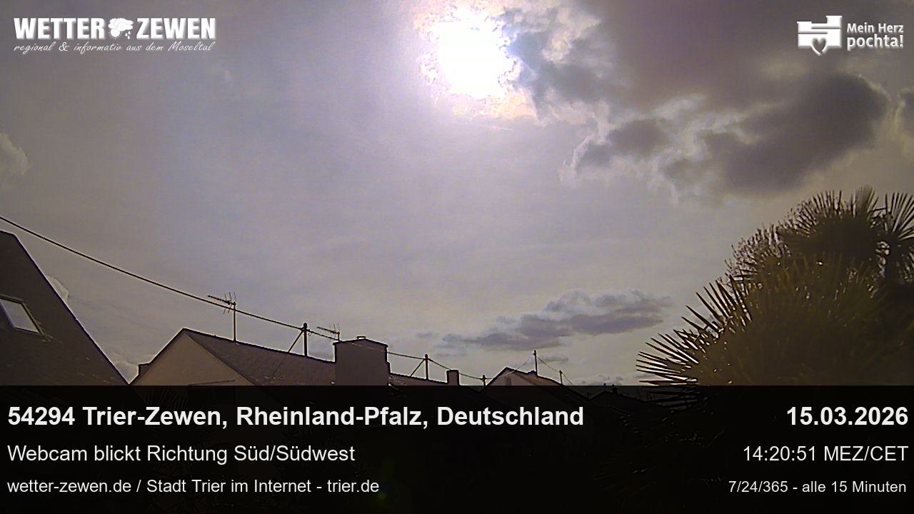 Bild