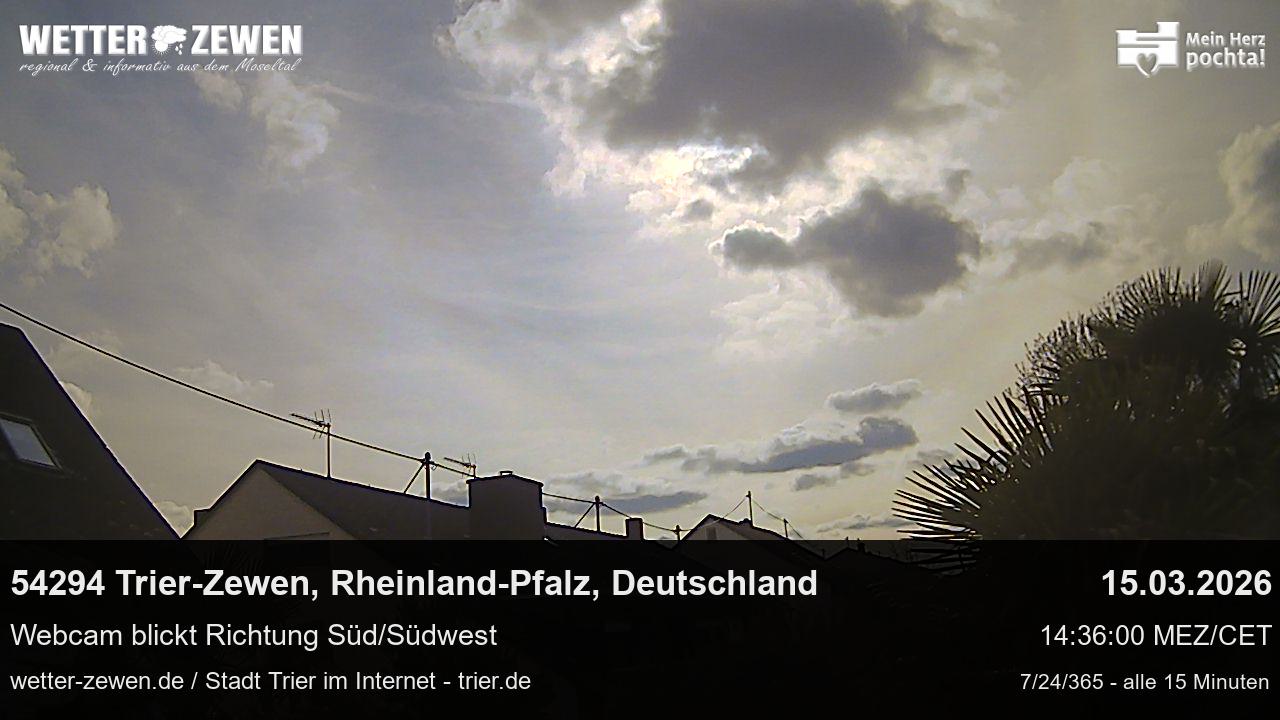 Bild