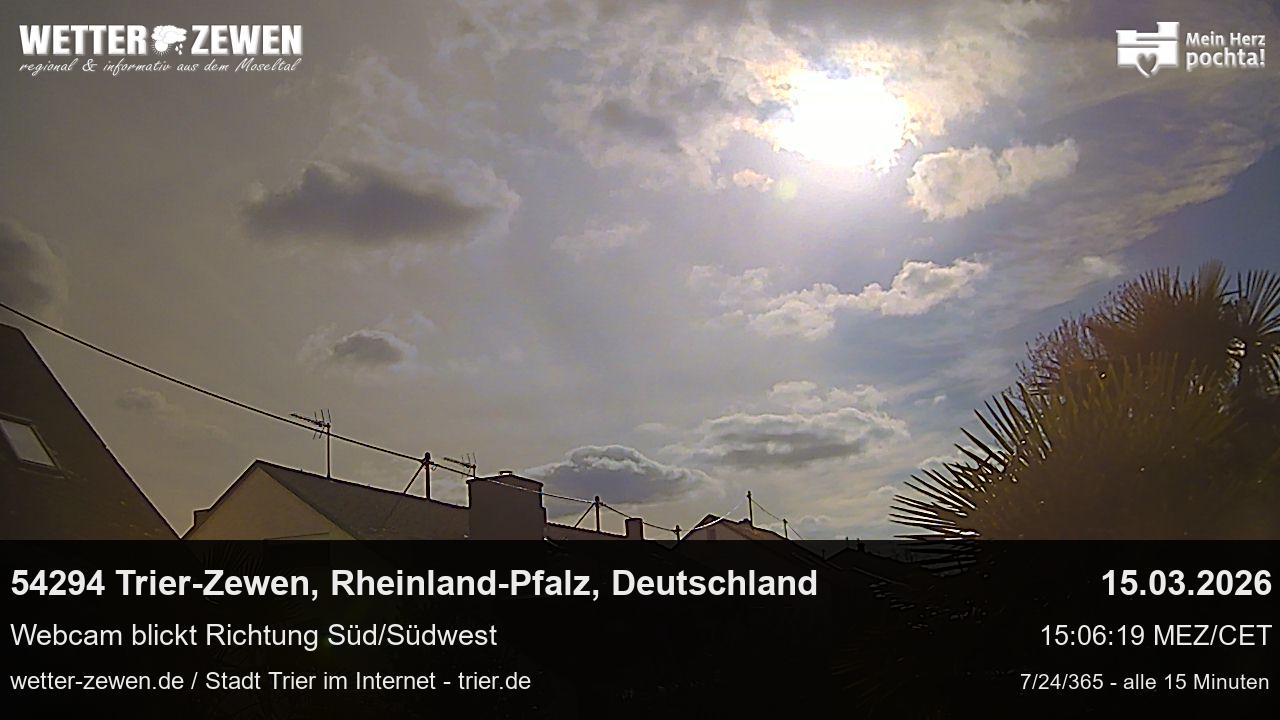 Bild