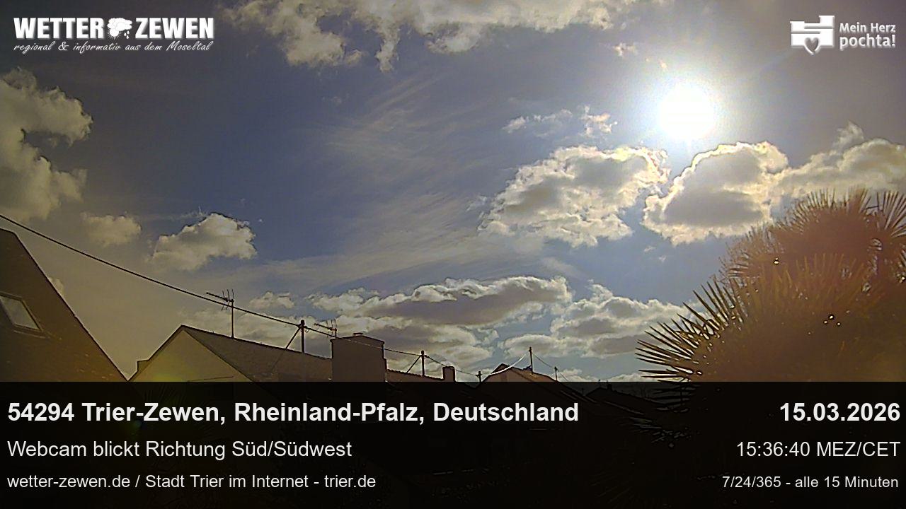Bild