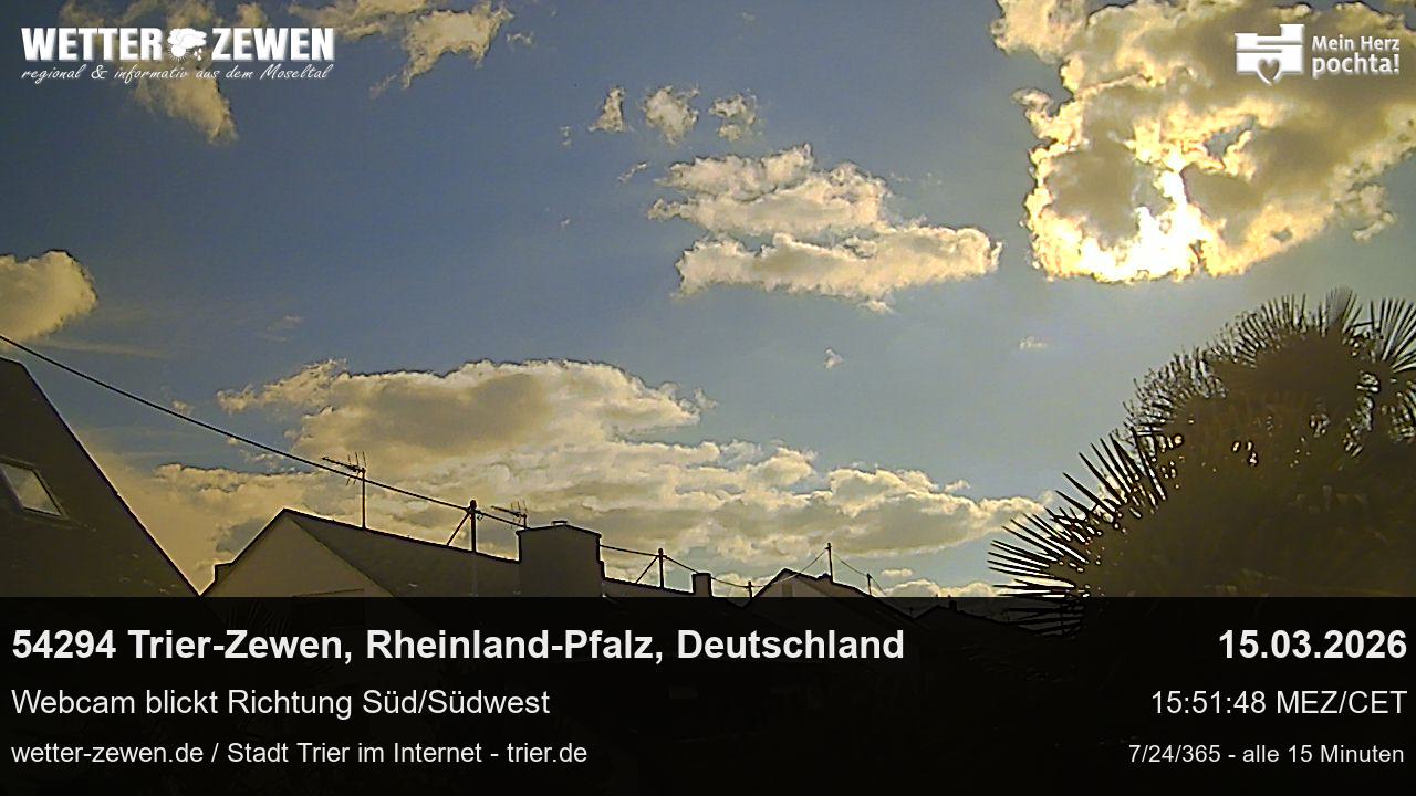 Bild