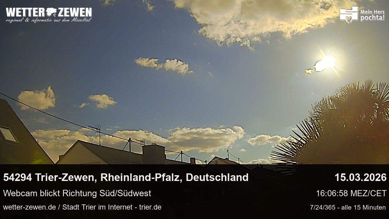 Bild