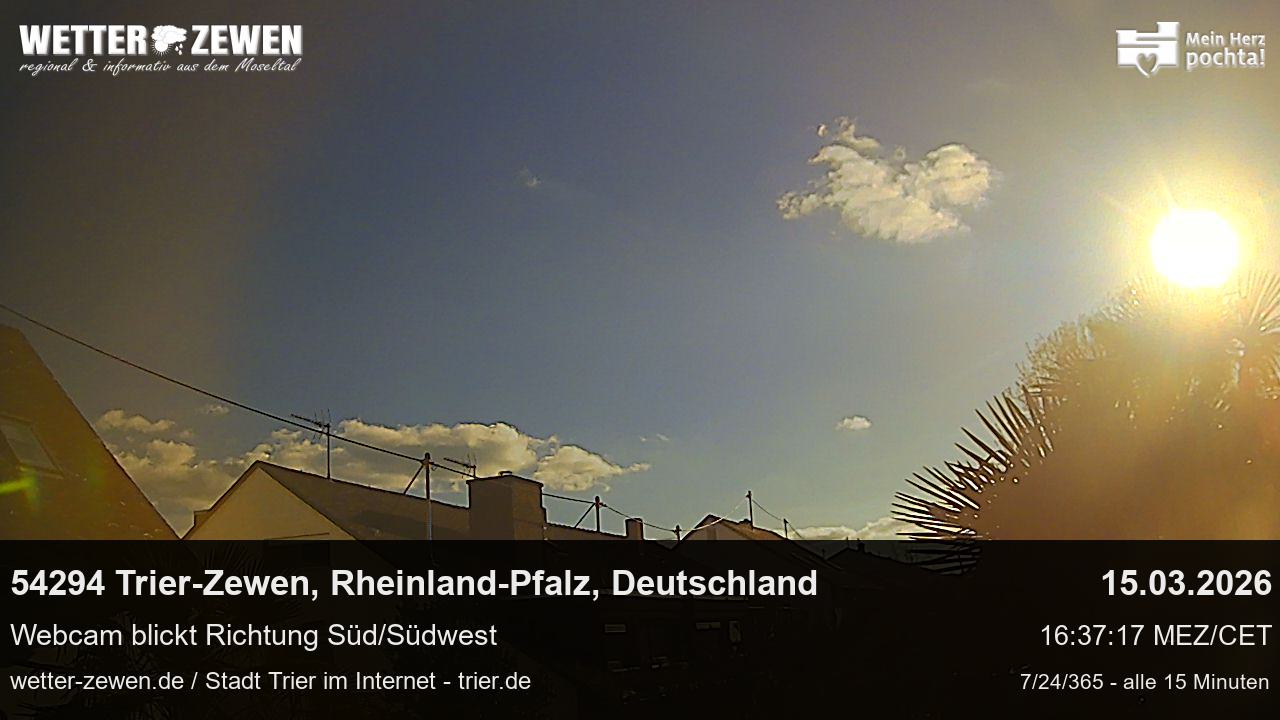 Bild