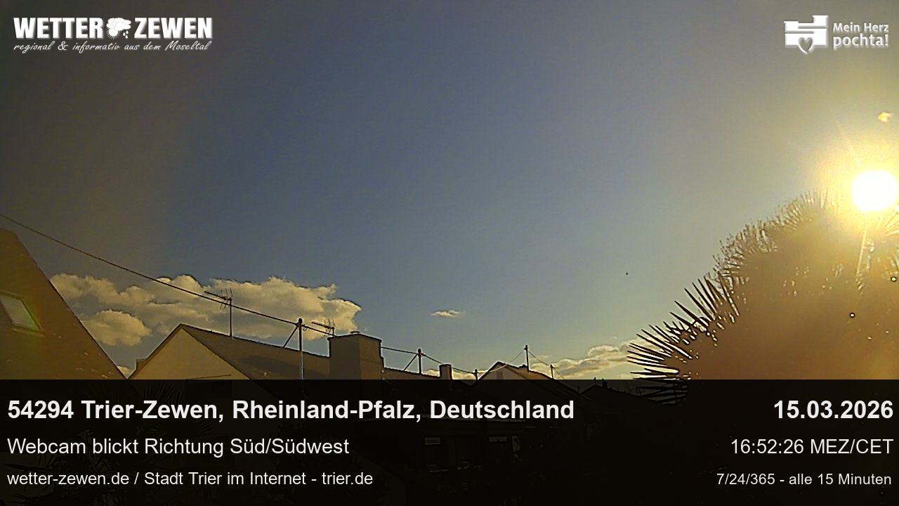 Bild
