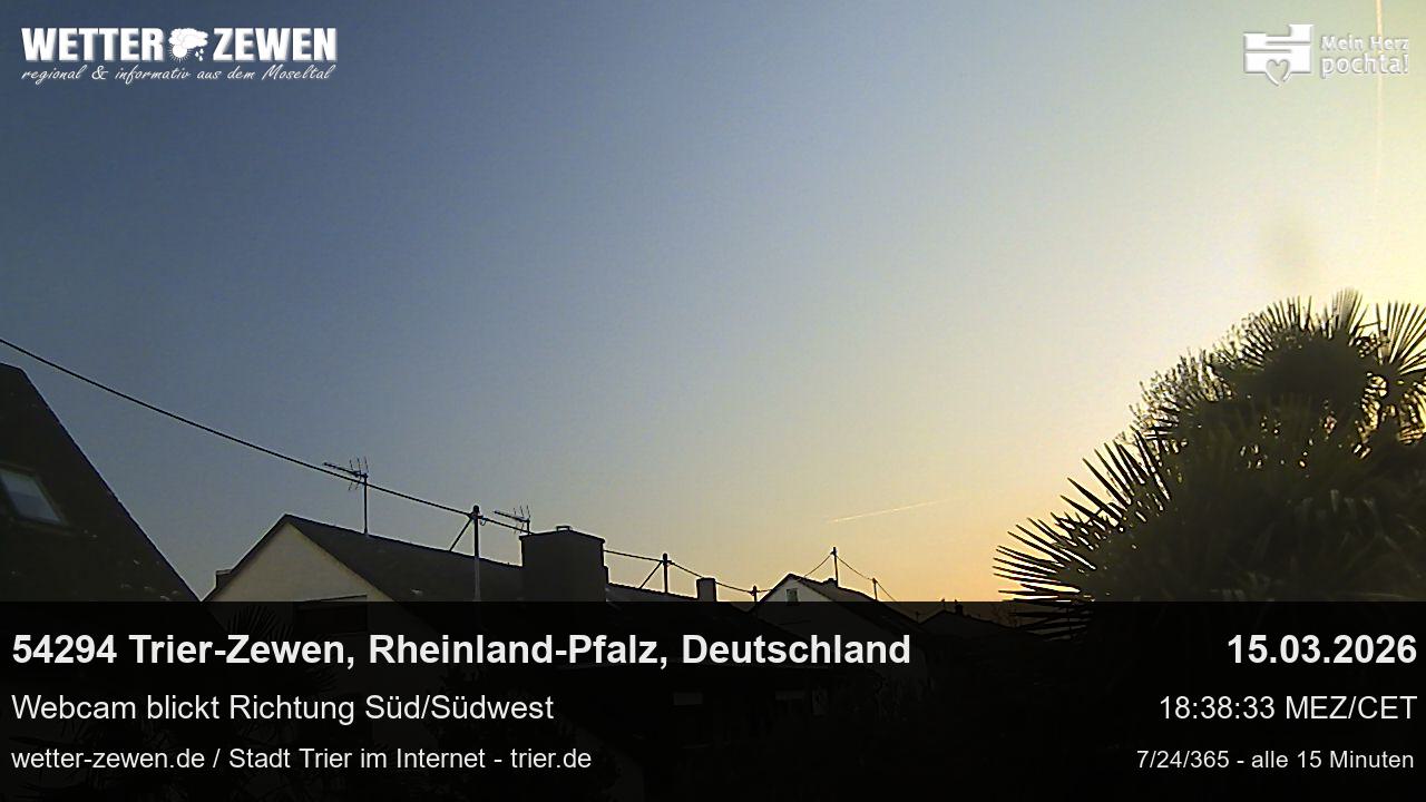Bild
