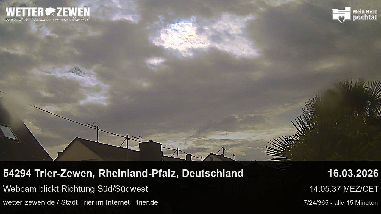 Bild