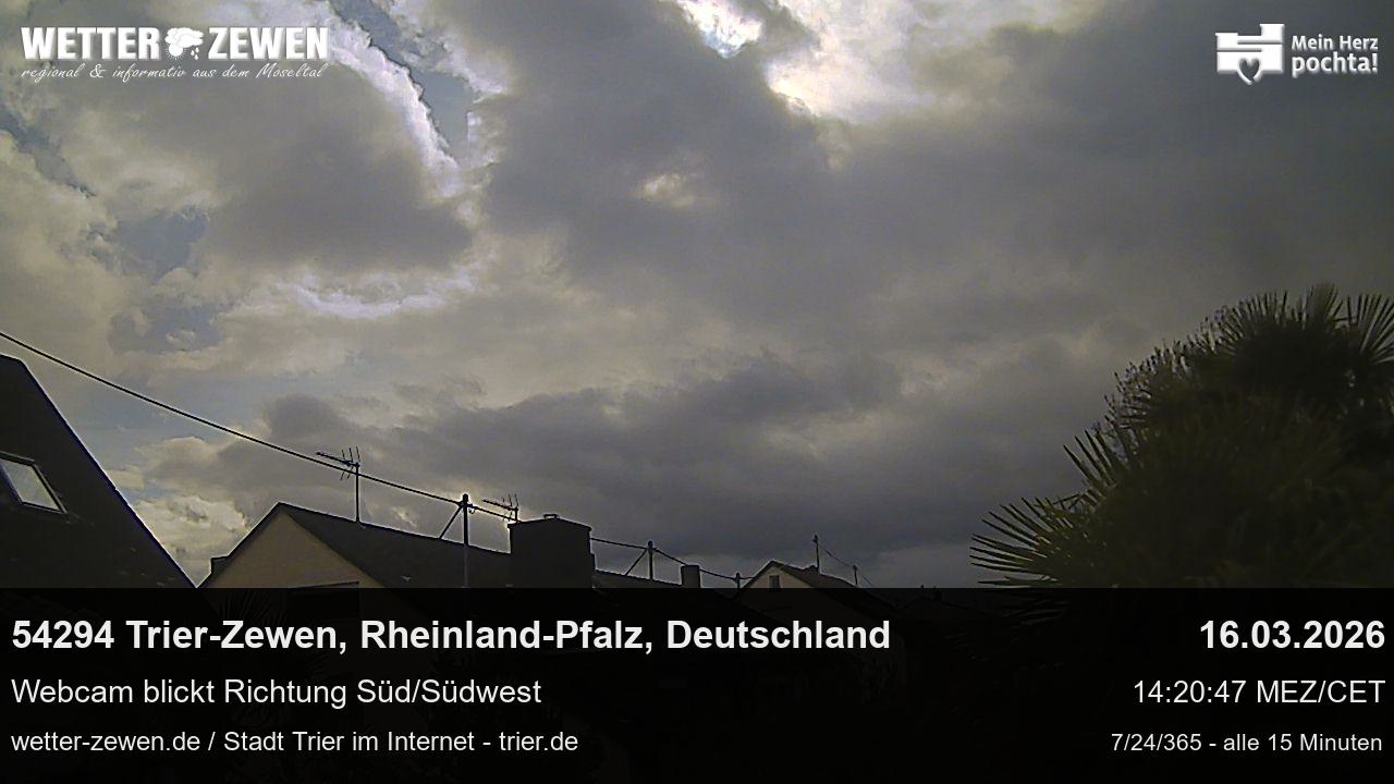Bild