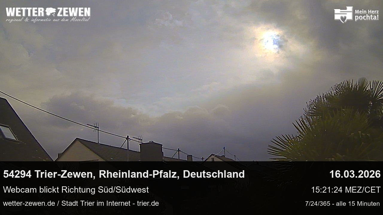 Bild