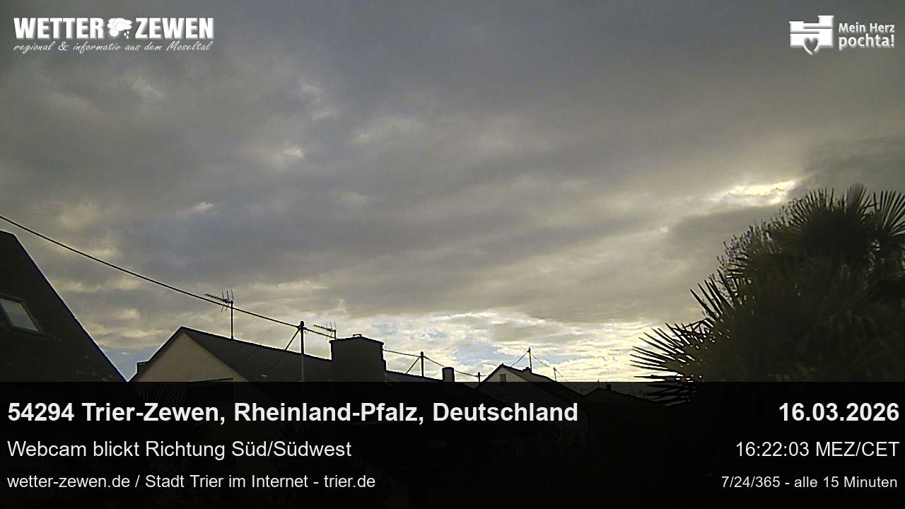 Bild