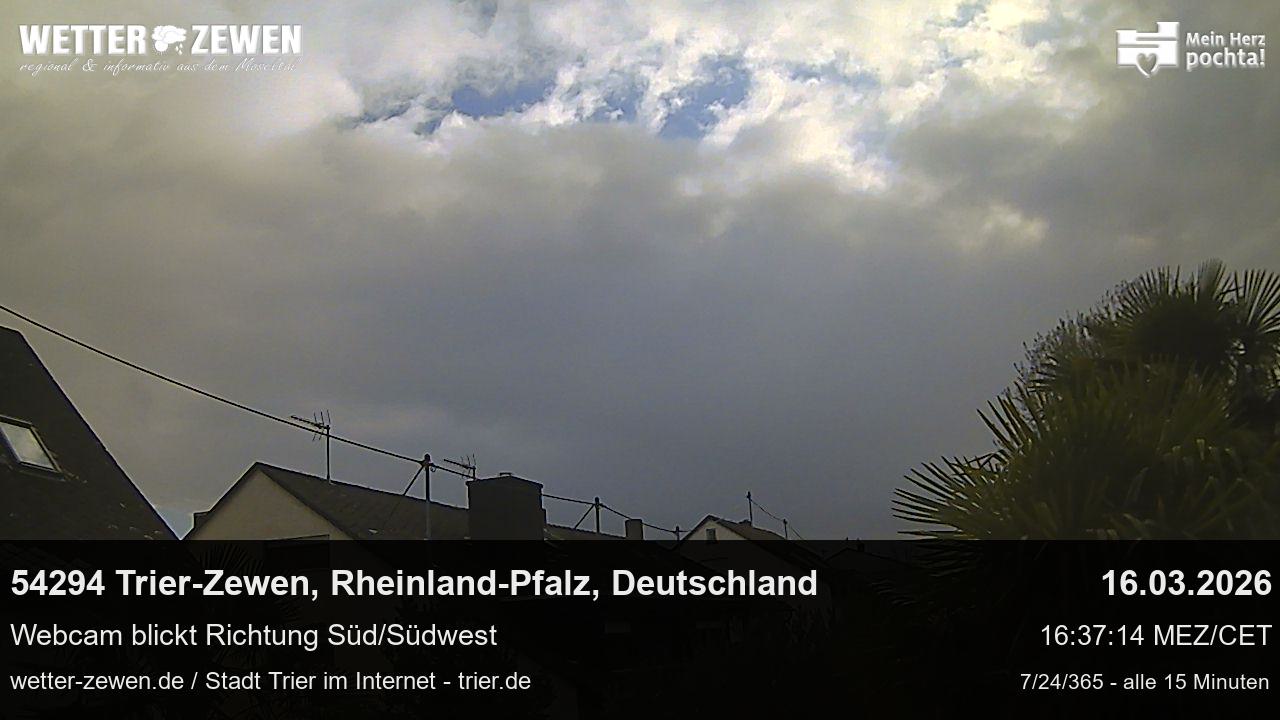 Bild