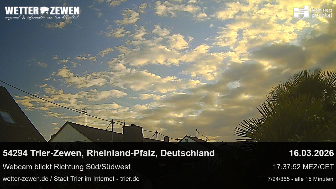 Bild