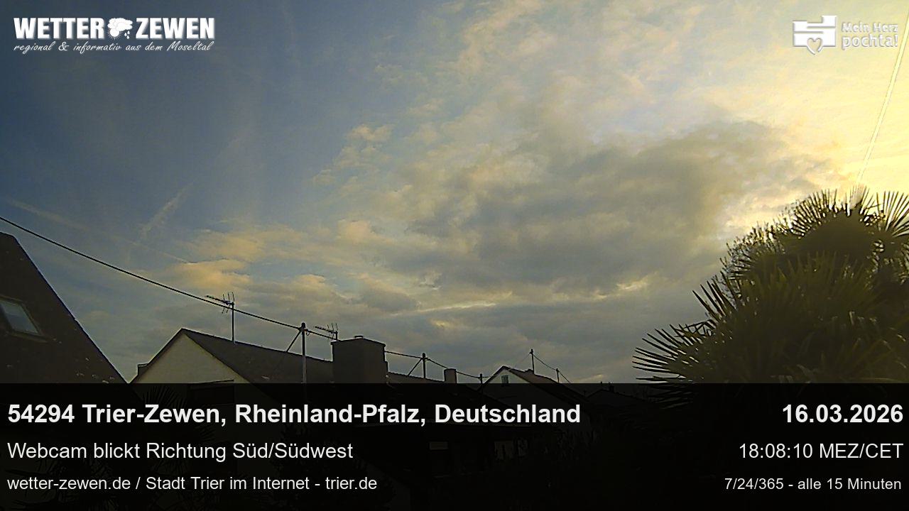 Bild