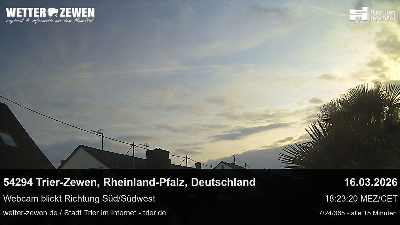 Bild