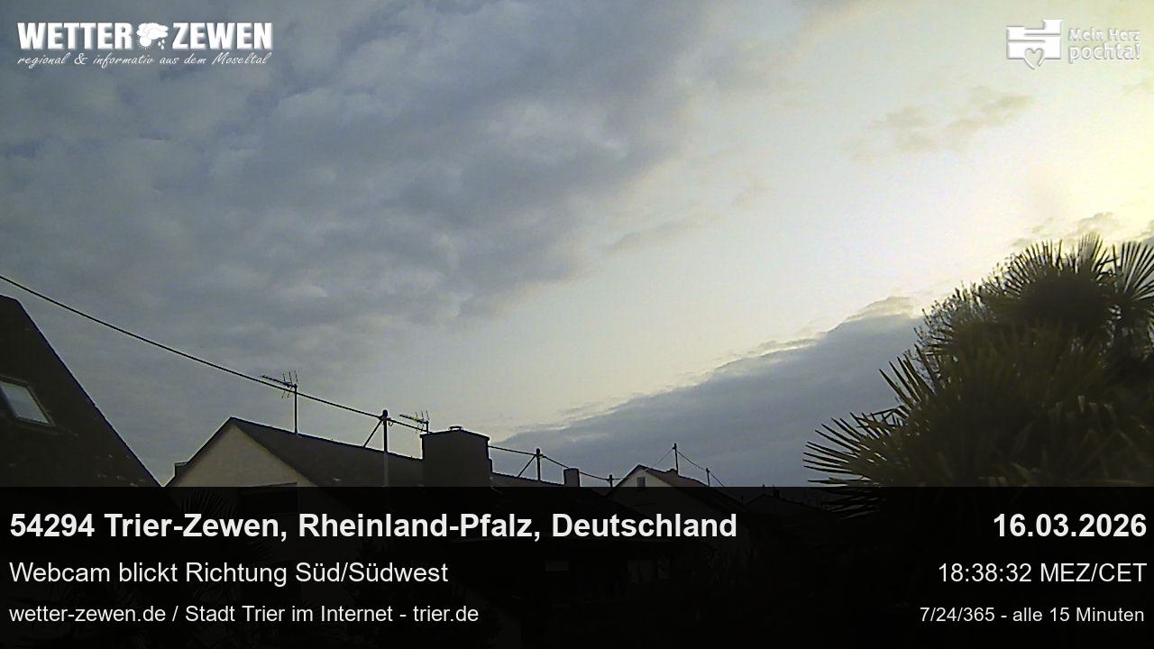Bild