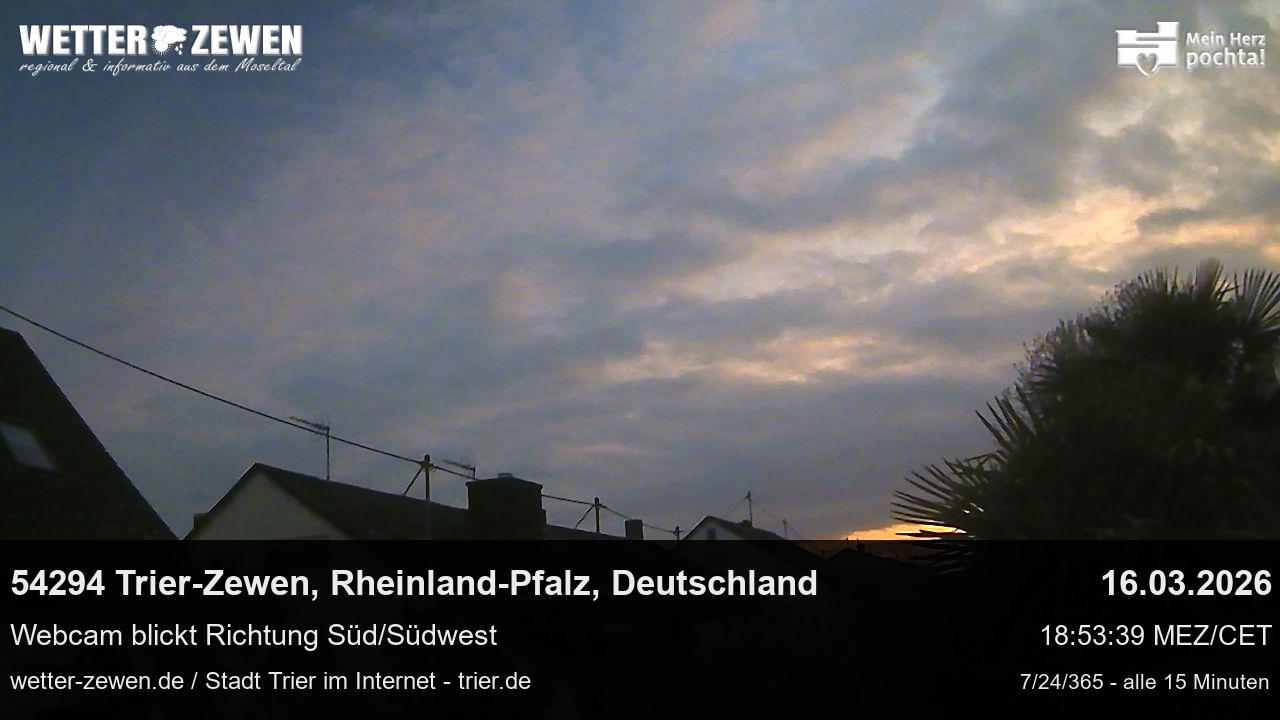 Bild