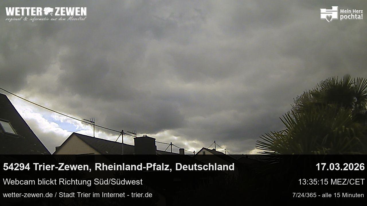 Bild