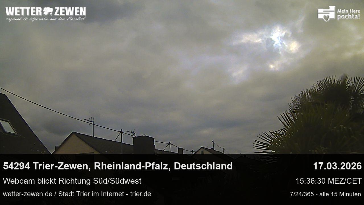 Bild